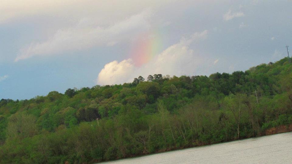 Chattanooga Room At Tennessee Riverplace מראה חיצוני תמונה